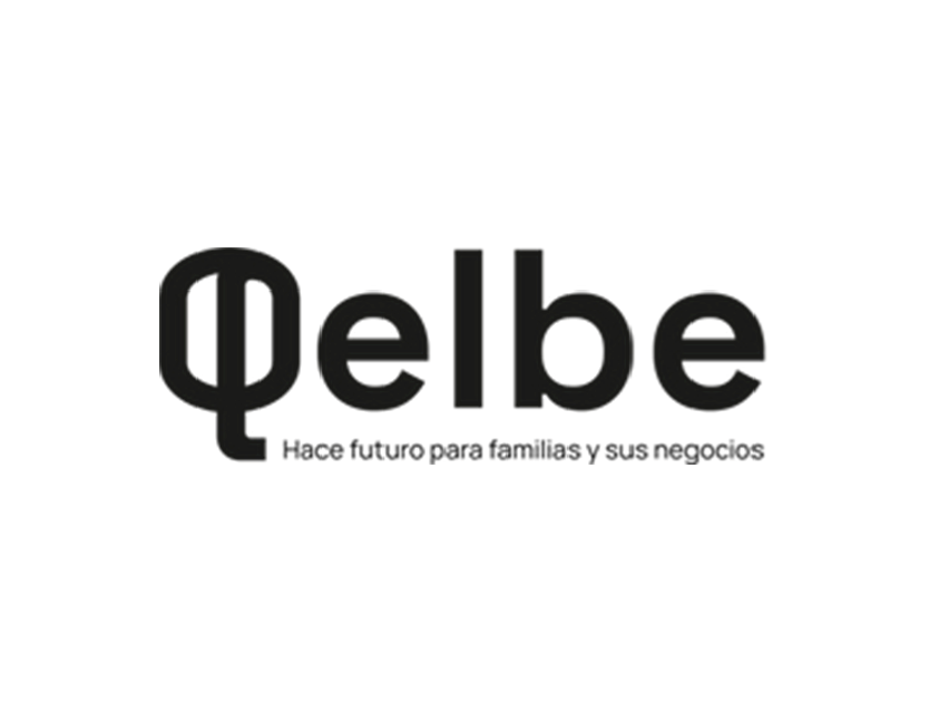 QELBE logo